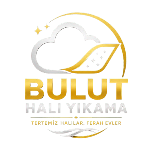 Bulut Halı Yıkama